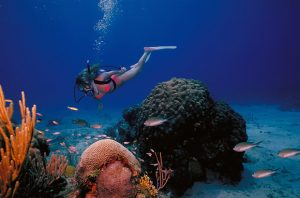 st. croix caribbean scuba diving