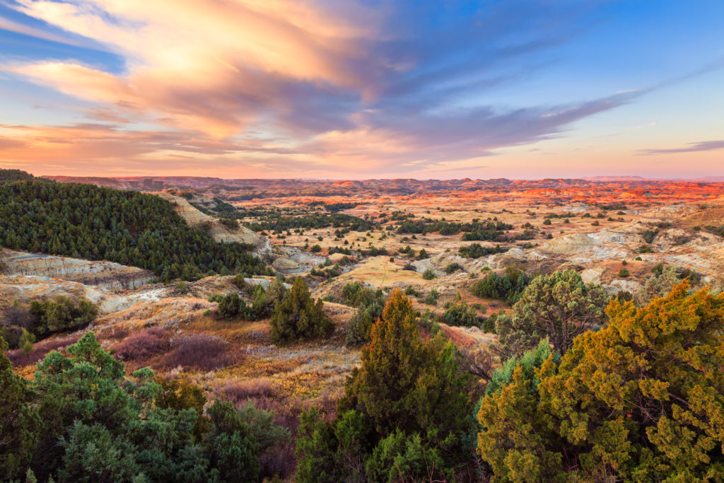 Theodore Roosevelt National Park