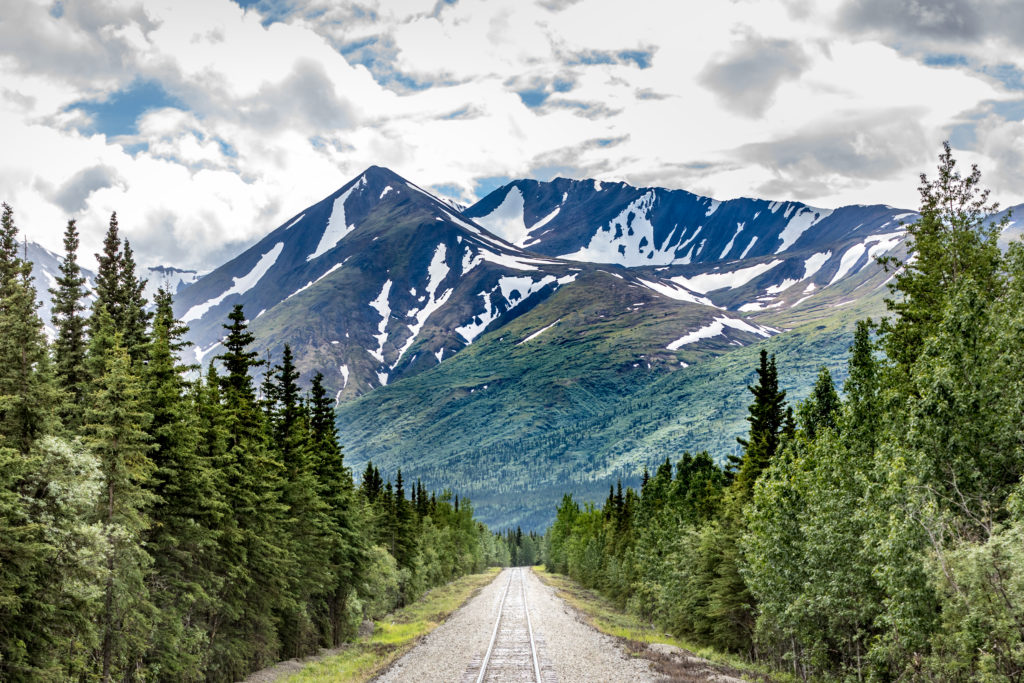 Denali National Park