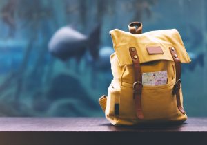 Alt tag not provided for image https://www.airfarewatchdog.com/blog/wp-content/uploads/sites/26/2018/09/yellowbackpackfish-300x211.jpg
