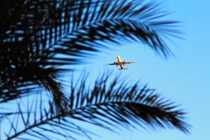 Alt tag not provided for image https://www.airfarewatchdog.com/blog/wp-content/uploads/sites/26/2018/10/airplane_beach_palm-300x200.jpg
