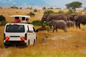 Alt tag not provided for image https://www.airfarewatchdog.com/blog/wp-content/uploads/sites/26/2019/06/Nairobi-Kenya-Masai-Mara-Elephant-Safari-Africa-Shutter-300x200.jpg