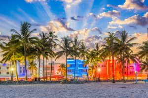 miami beach palm trees sun rays