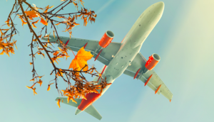 Airplane flying over leaves in fall and autumn