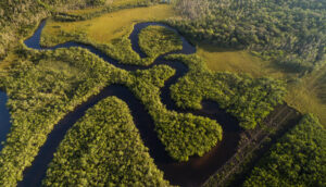 Aerial view of the Amazon River in the rainforest Brazil