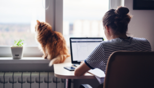 Working from home with your cat