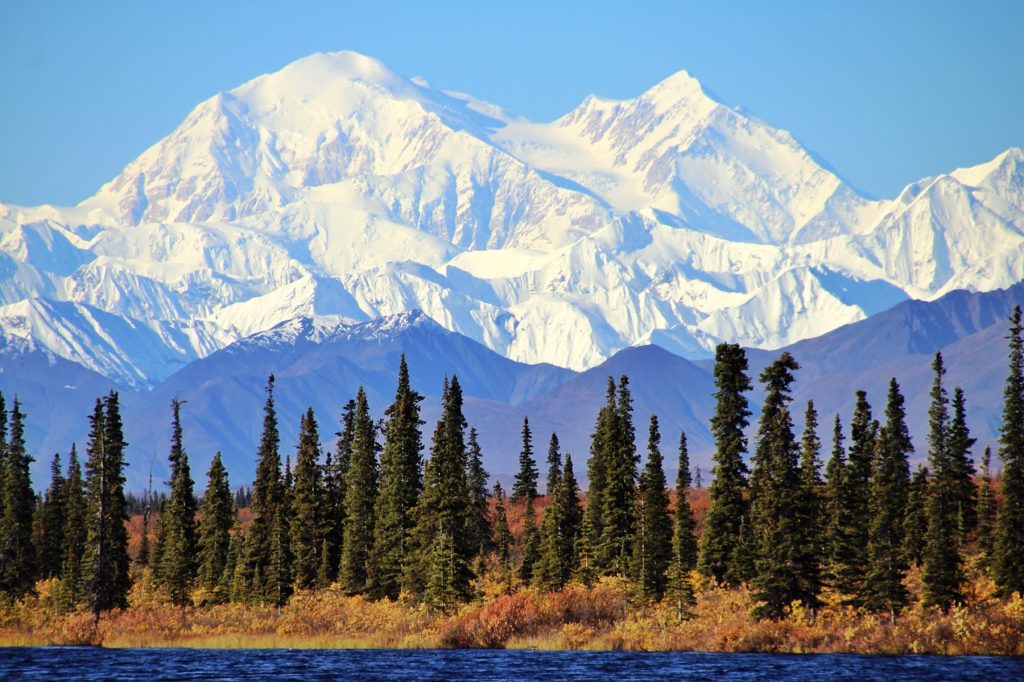 Denali National Park