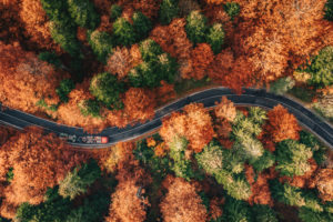 Aerial view of a car winding through an autumn forest