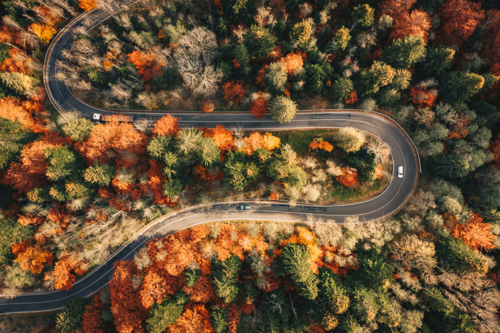 Aerial view of winding road through autumn forest